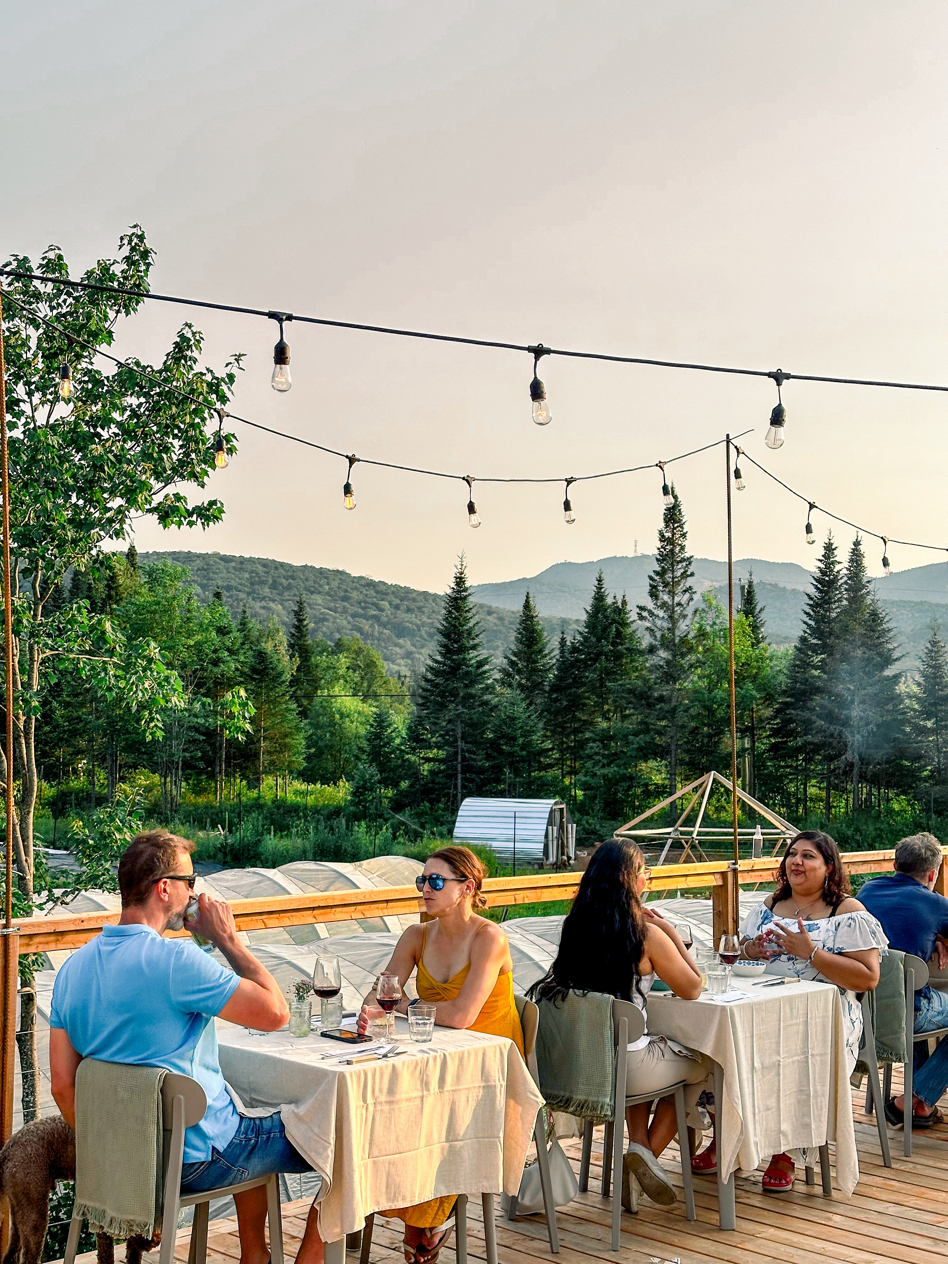 👨‍🌾+🍽️ souper extérieur 4 services de la ferme à votre assiette (accords mets-vin nature ou sans alcool)