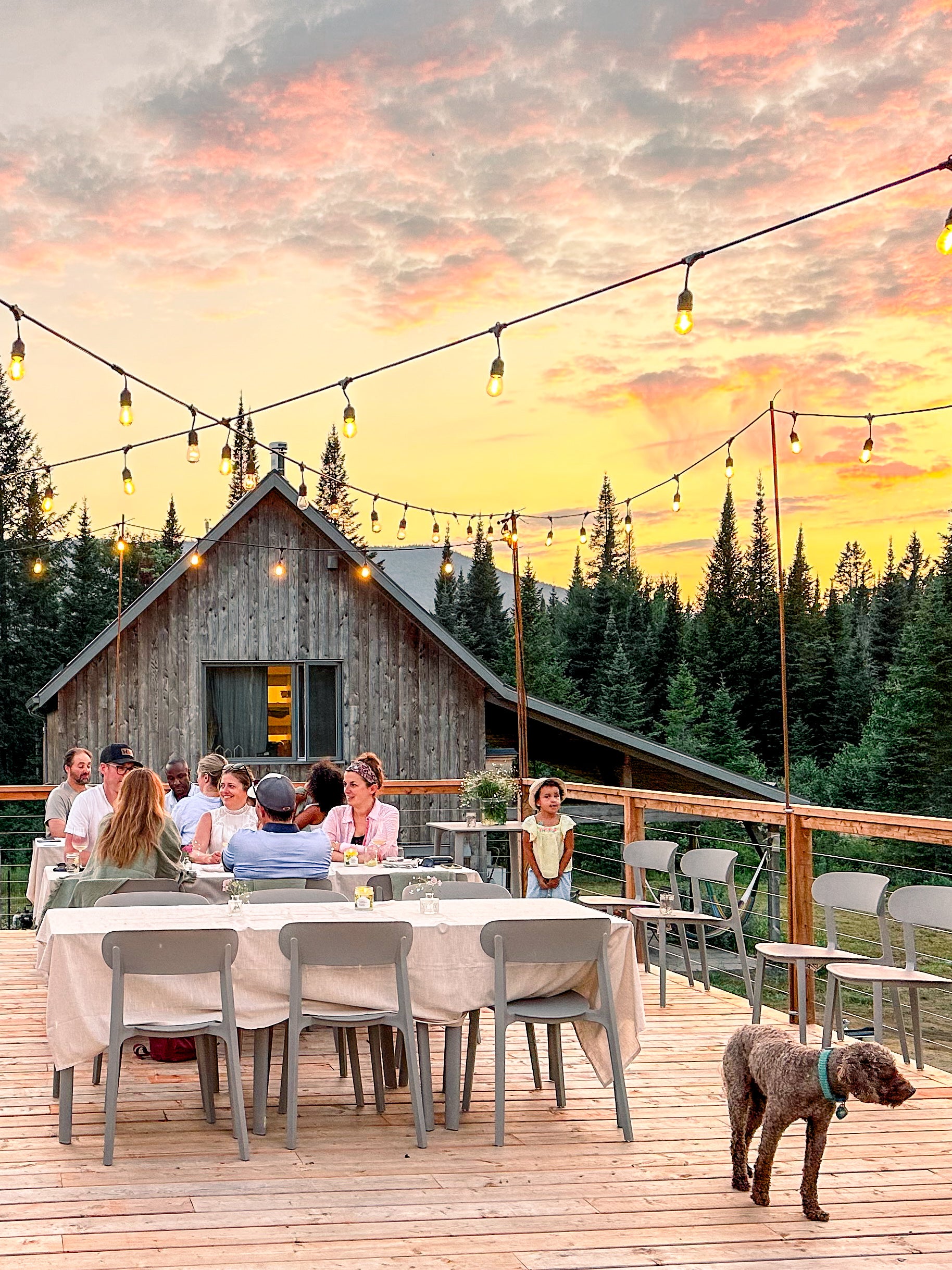 👨‍🌾+🍽️ souper extérieur 4 services de la ferme à votre assiette (accords mets-vin nature ou sans alcool)