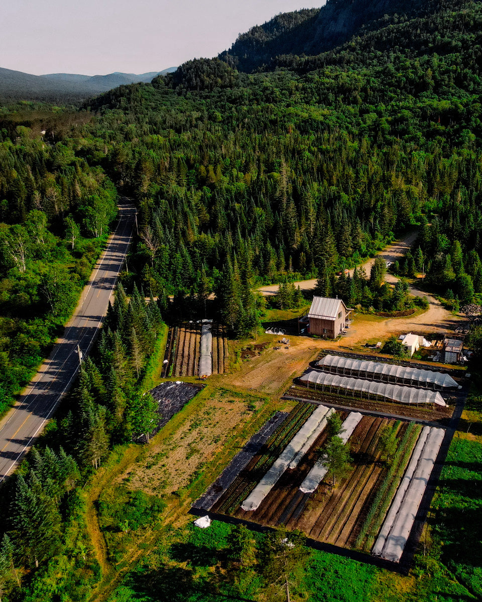 👨‍🌾+🍽️ souper extérieur 4 services de la ferme à votre assiette (accords mets-vin nature ou sans alcool)